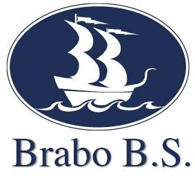 Brabo Business Services