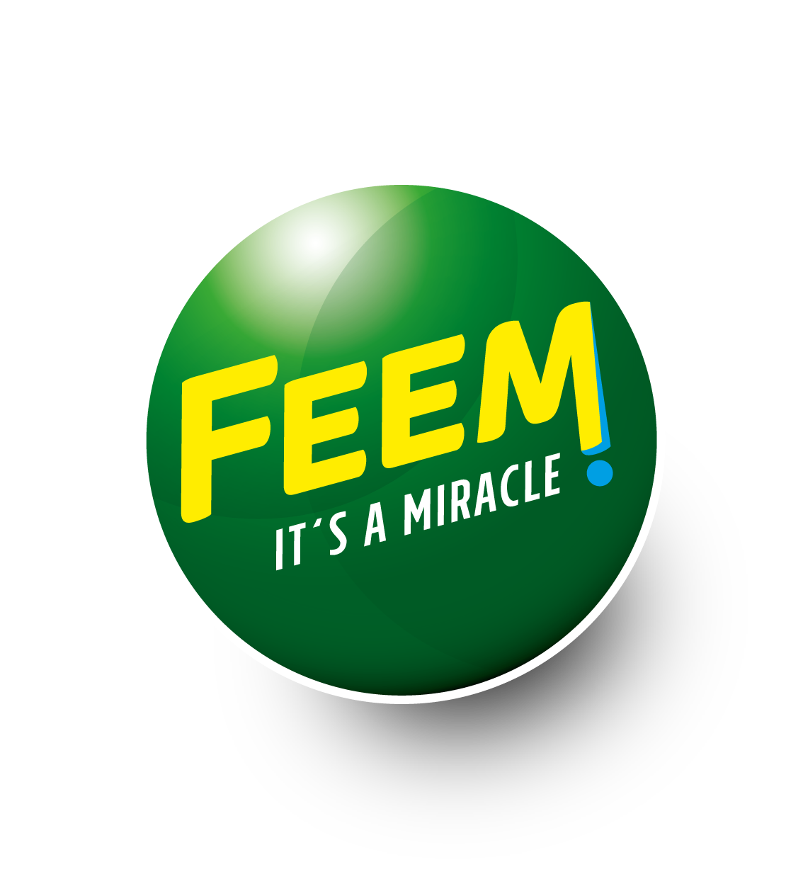 Feem International