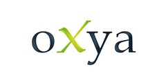 Oxya Consulting Benelux