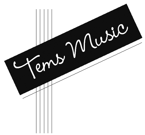 Tems Music - Jürgen De Smet